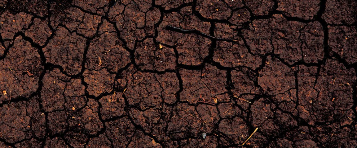 Drought